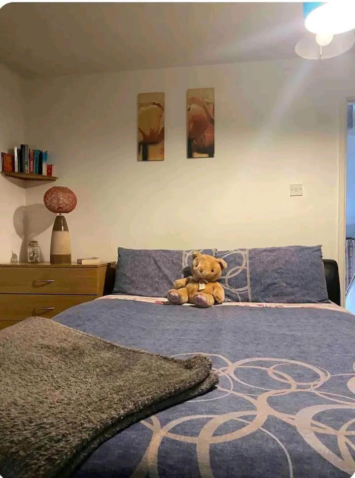 Castleton Apartman Belfast Kültér fotó