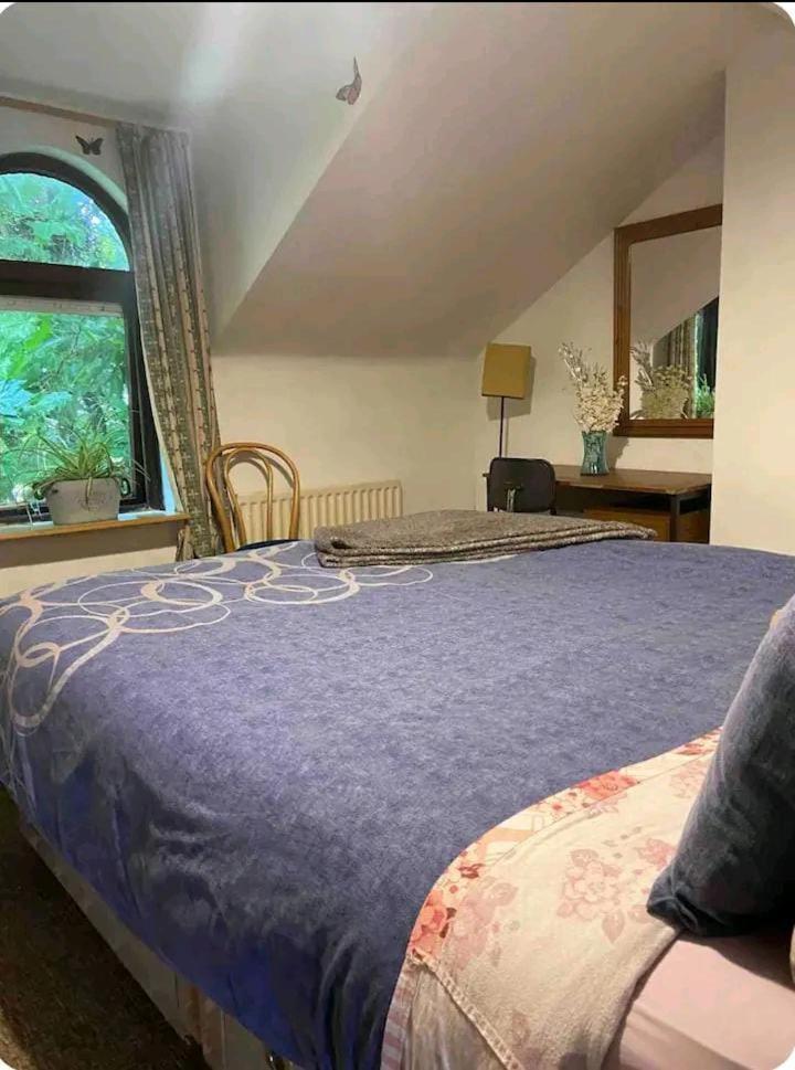 Castleton Apartman Belfast Kültér fotó