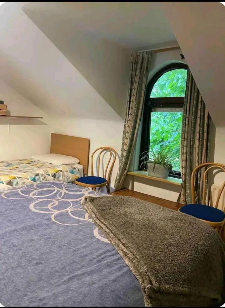 Castleton Apartman Belfast Kültér fotó